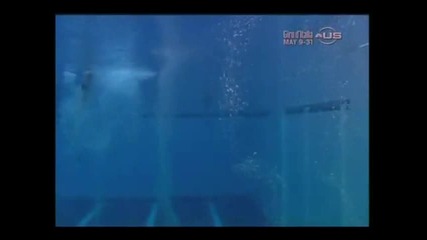 Thomas Daley - Fina Diving World Series 2009 *hq*