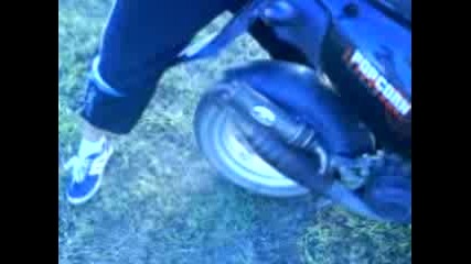 Mov00135