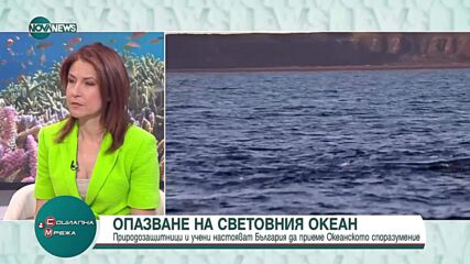 Спасението на океаните: Важността на защитата на морските екосистеми за бъдещето на човечеството