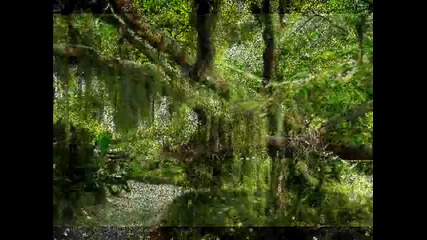 Prem Joshua - Gunkali Forest 