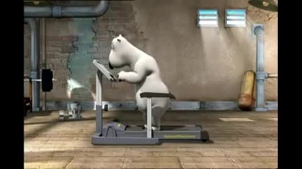 Bernard The Polar Bear - At The Gym