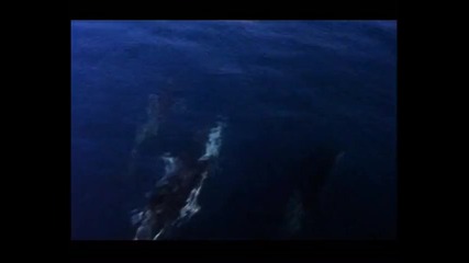Красотата на Природата в Patagonia - Chile Argentina