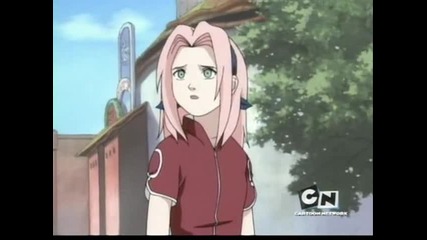 sakura1 