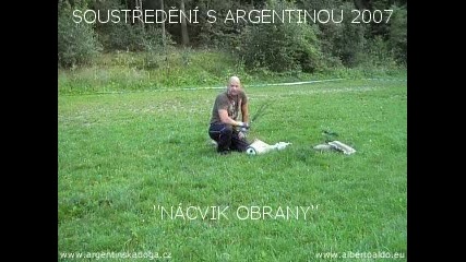 Dogo Argentino - White Bodyguard 
