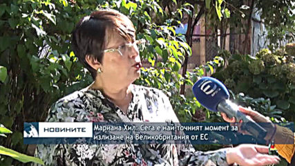 Мариана Хил: Сега е най-точният момент за излизане на Великобритания от ЕС