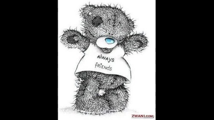 Teddy 