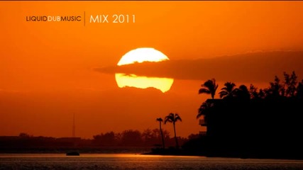Liquid Dubstep Mix - 2011-1