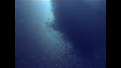 The Beautiful Planet Earth 