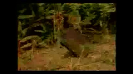 Prodigy - Voodoo People