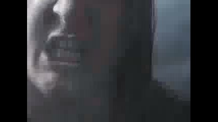 New Project - Voice In The Machine