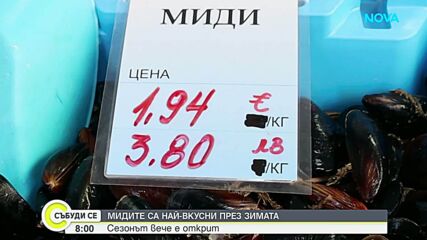 Зимен деликатес от морето: Черноморските миди се търсят масово в Каварна