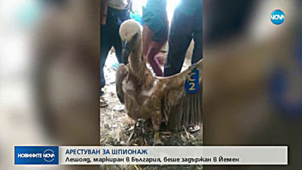 Лешояд, маркиран в България, беше задържан в Йемен