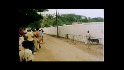 Bob Marley Vs Funkstar De Luxe - Sun Is Shining ( H Q )