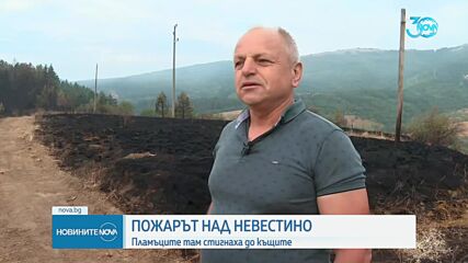 Новините на NOVA (04.08.2024 - централна емисия)
