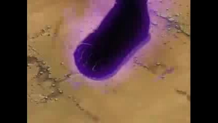 Sasuke - Get Back