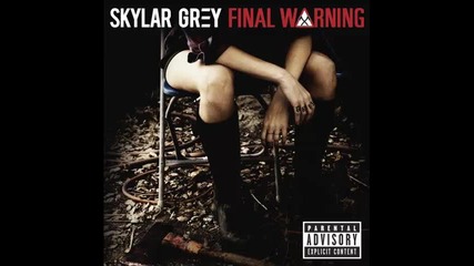 *2013* Skylar Grey - Final warning