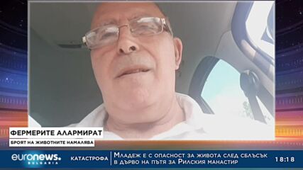 Животновъди: Губим по 30 стотинки на всеки литър мляко