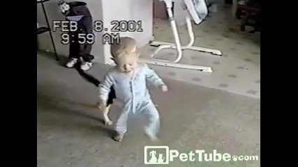 Малко сладко бебе си играе с котка