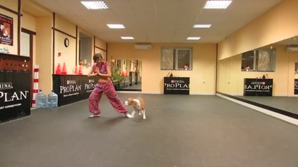 Жена танцува с куче Питбул!