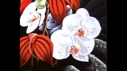 Kitaro - Orchids