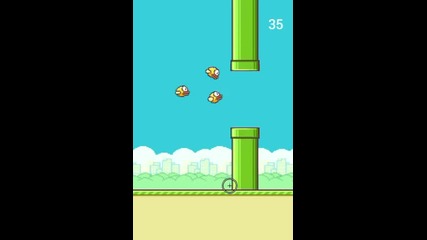 Smash Bird Gameplay Android & iOS