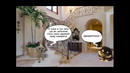 Приключенията на Роксанчо епизод 1 