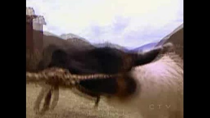 The amazing race season 7 епизод 1 част 5