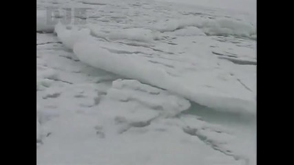 Звуци от замръзнало море