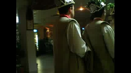 Коледари