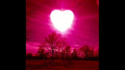 Funk Fanatics - Love is the Answer 