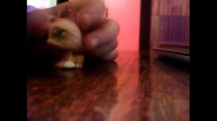 lps malkoto momiche s golemiq glas part2