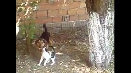 Масаж На Куче От Коте!!!