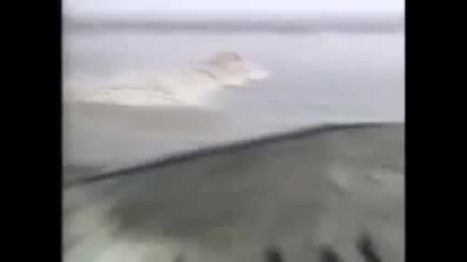 Щастливо спасяване от цунами