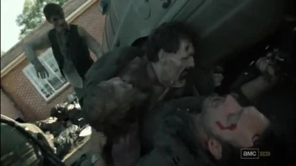 Every Zombie Death in The Walking Dead Season One And Two