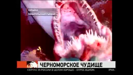 Чудовище в Черно море