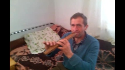dvoqnka