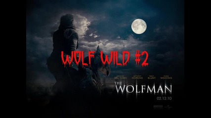 The Wolfman - 19. Wolf Wild #2 (2010) Ost