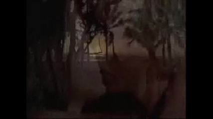 The Blue Lagoon Summary Video