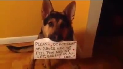 Everyone Needs To See This!