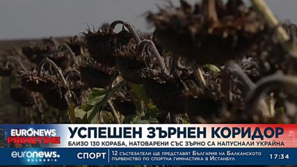 Близо 130 кораба, натоварени със зърно, са напуснали Украйна