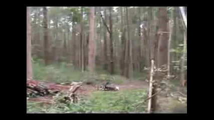 Insane Mountain Bike Crash