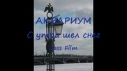 Аквариум-с утра шел снег