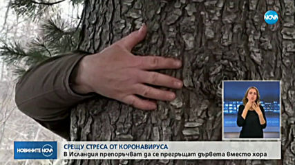 В Исландия прегръщат дървета, за да се справят със стреса покрай пандемията
