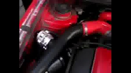 Passat Vrt
