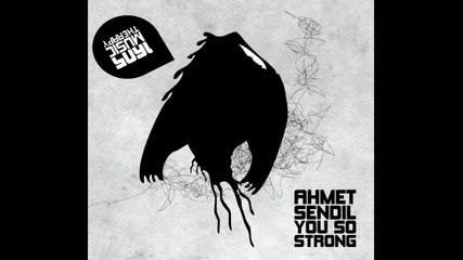 Ahmet Sendil - You So Strong