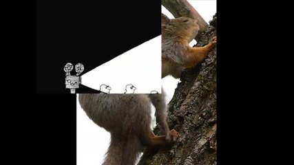 успеят снимка , смешни