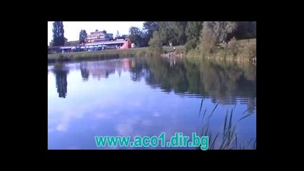 Дратхаар обучение