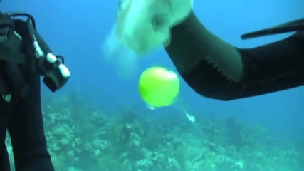 Трик със сурово яйце на 60м под водата