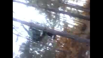 sali 0899319016