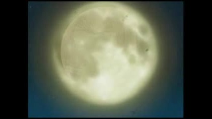 Sasu - Saku the Last Night
